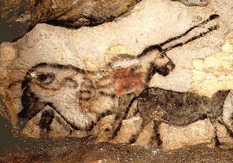 licornelascaux.jpg